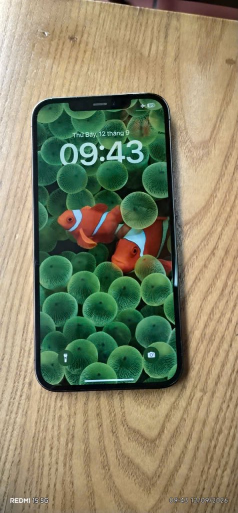 1789966061079_2129767387829986874_416422951131494259_78a561663cf5fa5d27e9c3f3409c7619.jpg