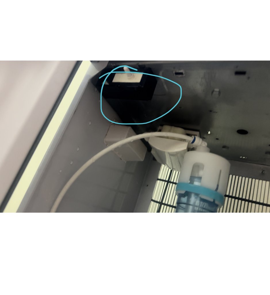 2E4195B3-AEE4-462D-A689-1755E458E345.jpeg