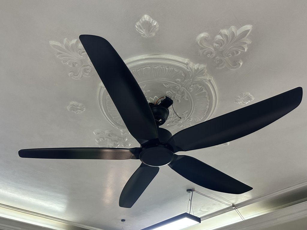 IMG_1624.jpeg