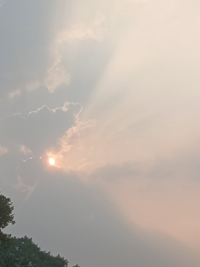 IMG20260922164336.jpg