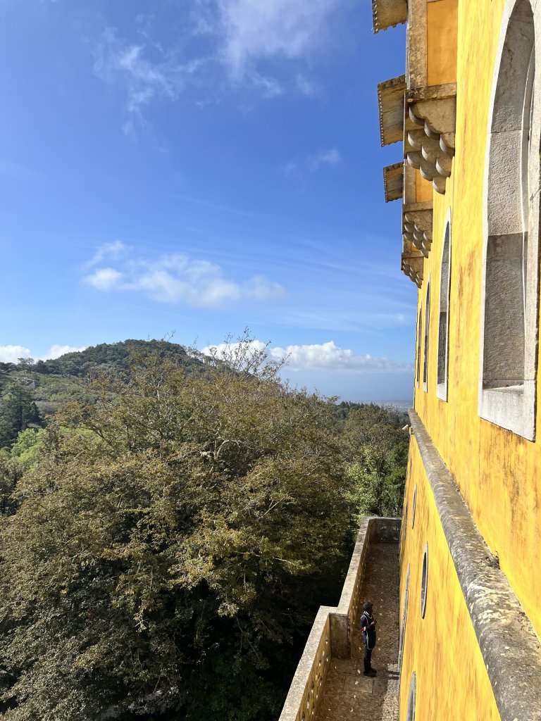 IMG_1169.jpeg