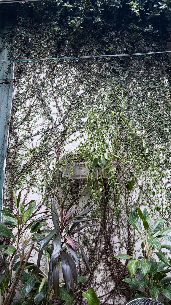 IMG_4103.jpeg