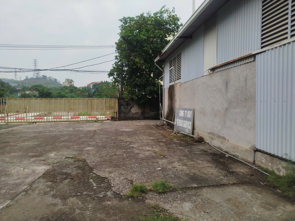 KHo4.jpg