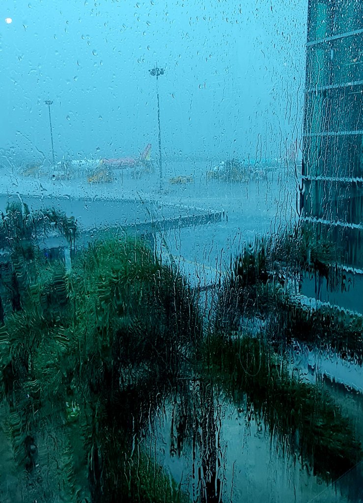 20260924_135050.jpg