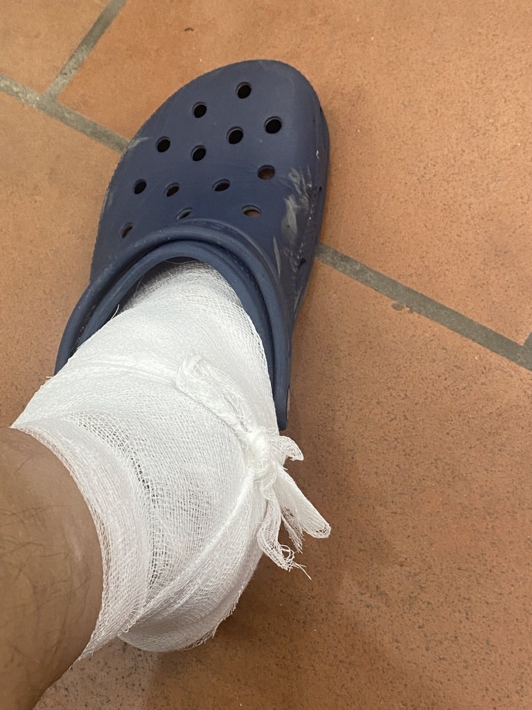 IMG_1071.jpeg