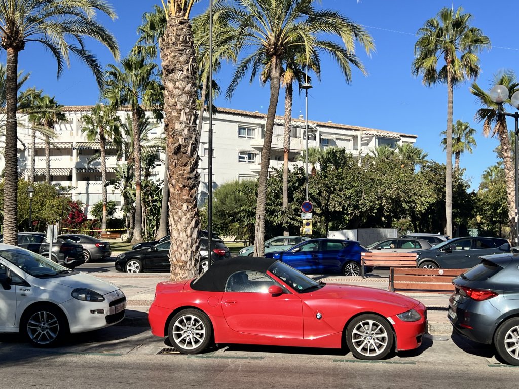IMG_1546.jpeg