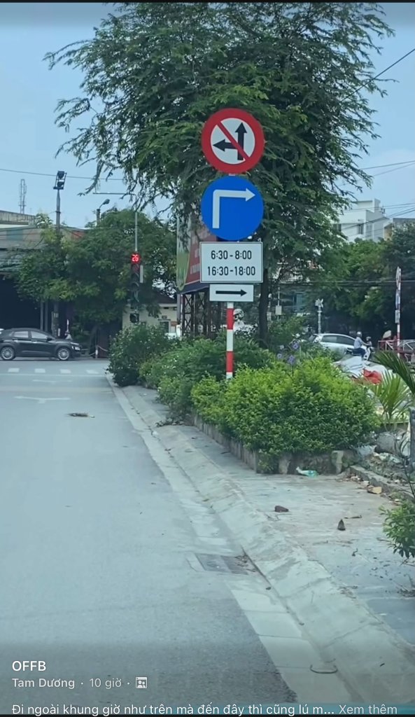 IMG_3072.jpeg