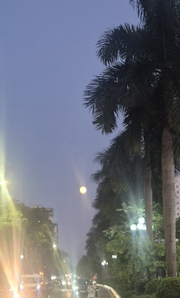 20260926_180353.jpg