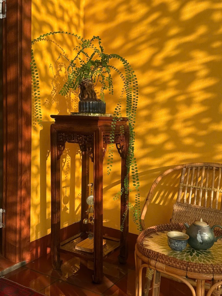 IMG_3276.jpeg