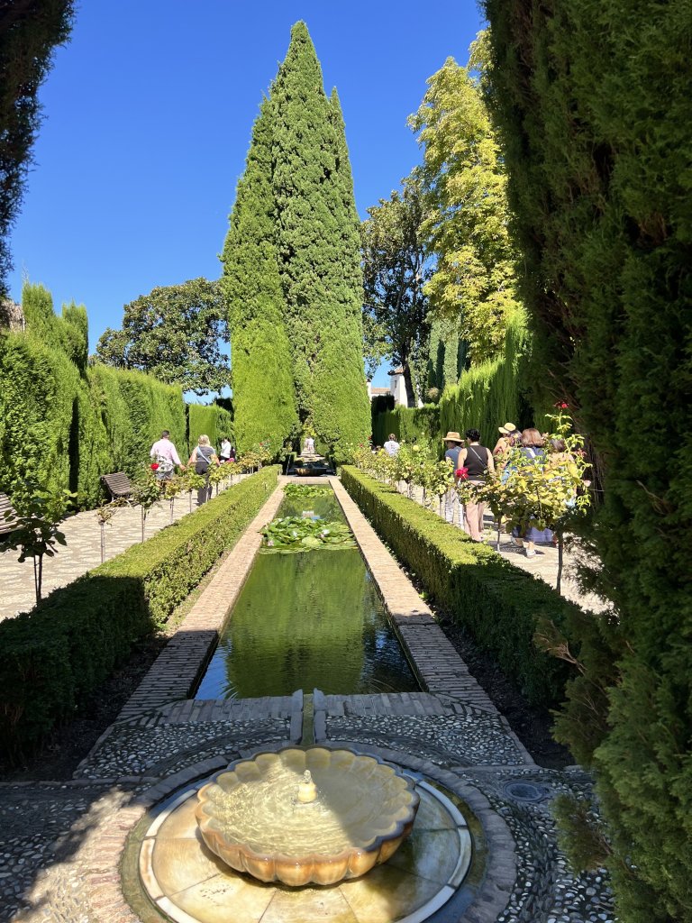 IMG_1367.jpeg