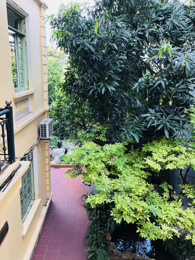 IMG_9627.jpeg