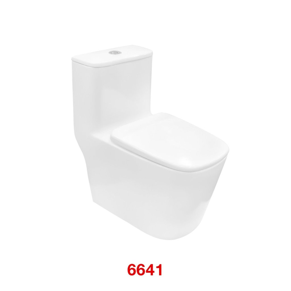 6641.jpg