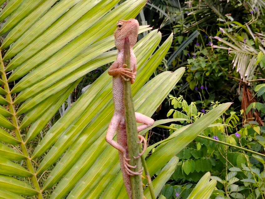 Image_dzv8hcdzv8hcdzv8.png