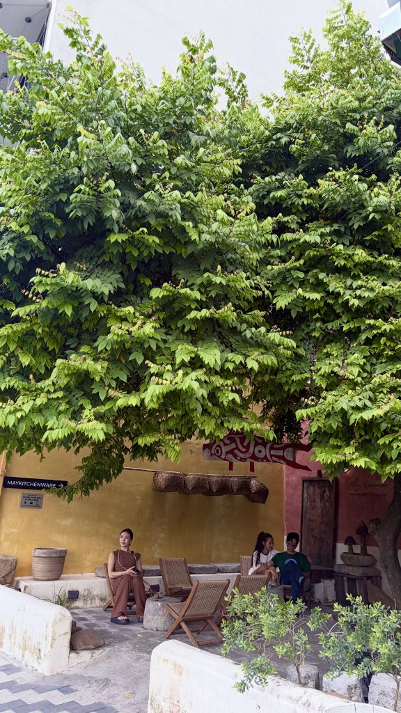 IMG_4347.jpeg