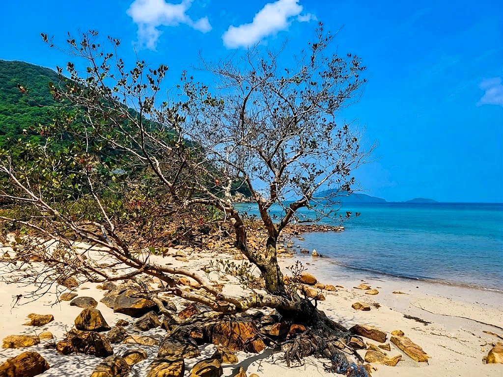 b0c77961-98e4-496d-8d12-3352f4e72ad5.jpeg