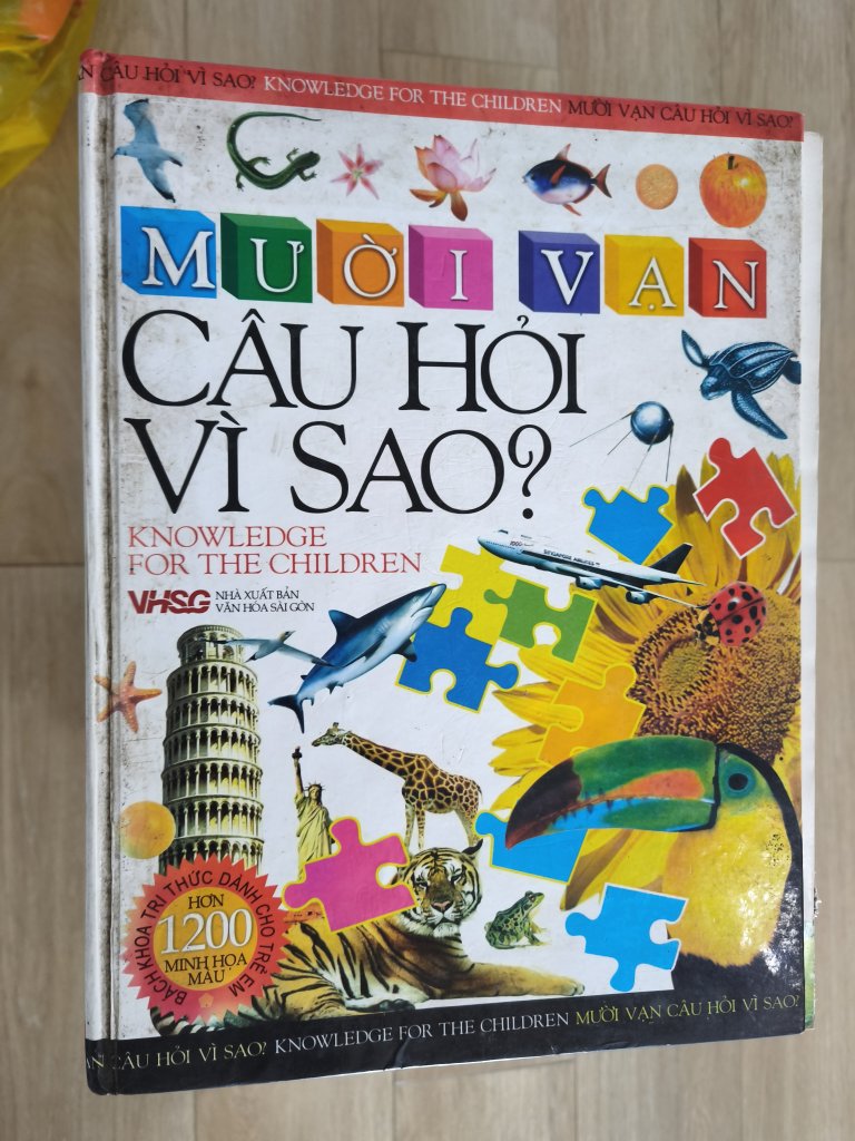 10771.jpg