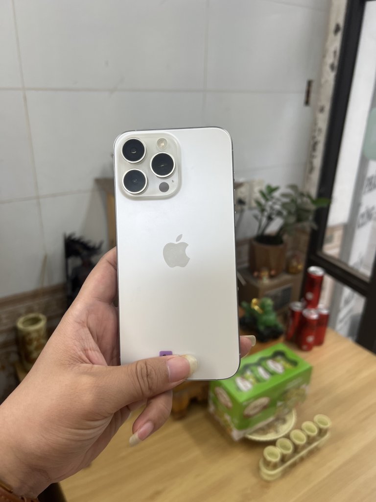 IMG_2509.jpeg