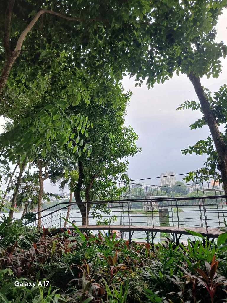 IMG_6148.jpeg