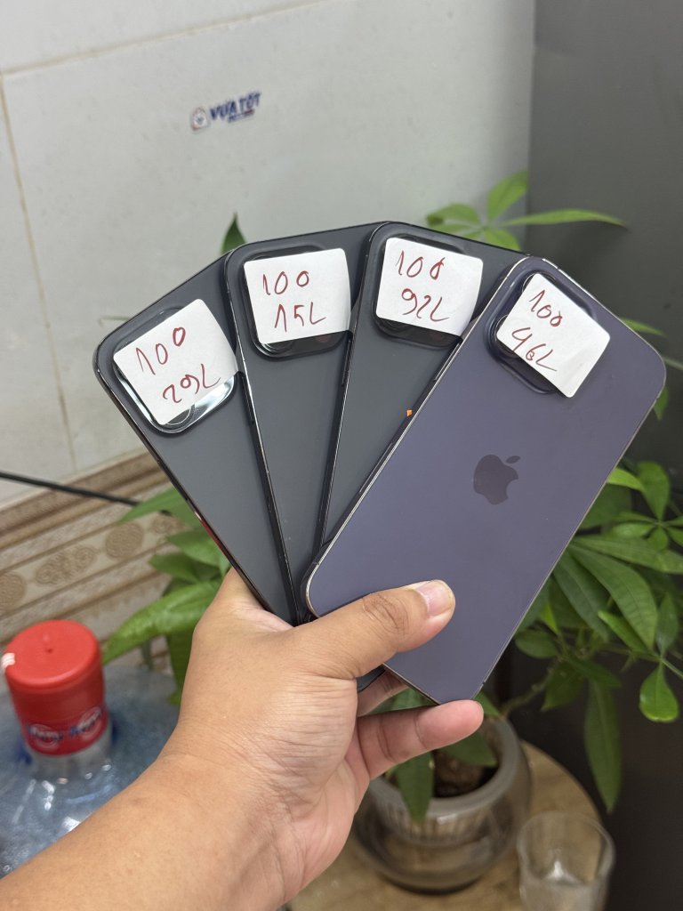 IMG_9392.jpeg