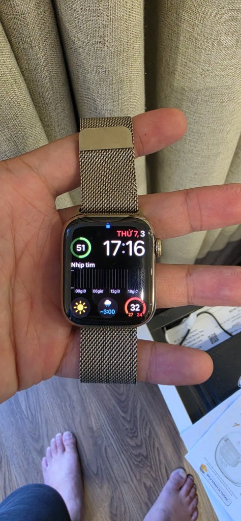 4936.jpg
