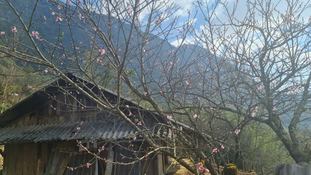 SAPA4.jpg