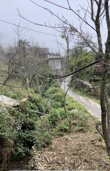 sapa5.jpg