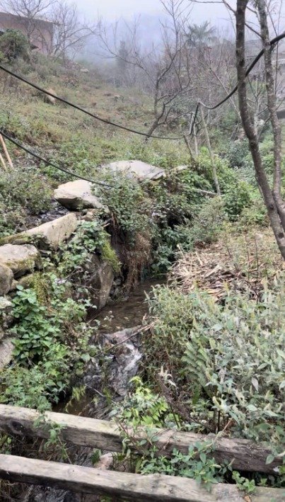 sapa6.jpg