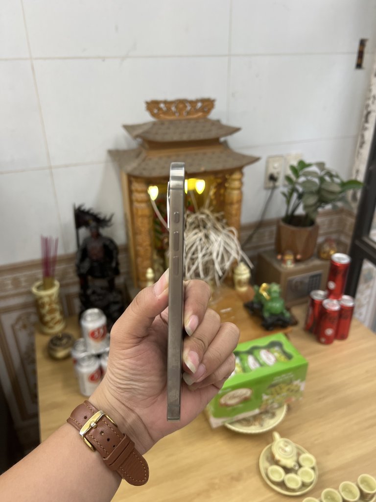 IMG_2793.jpeg