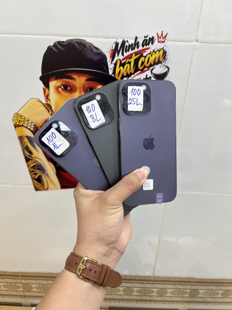 IMG_2865.jpeg