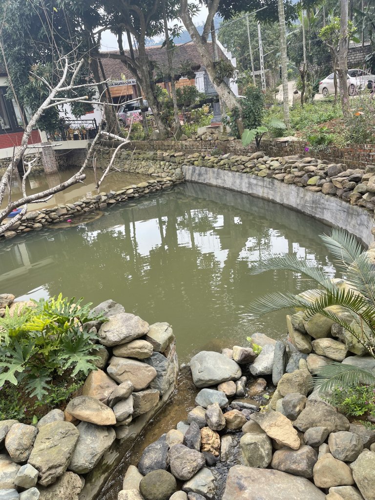 IMG_4223.jpeg