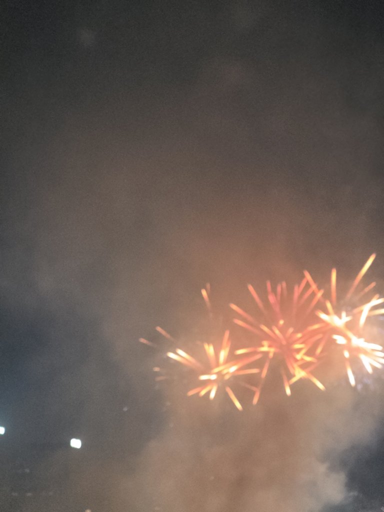79466.jpg