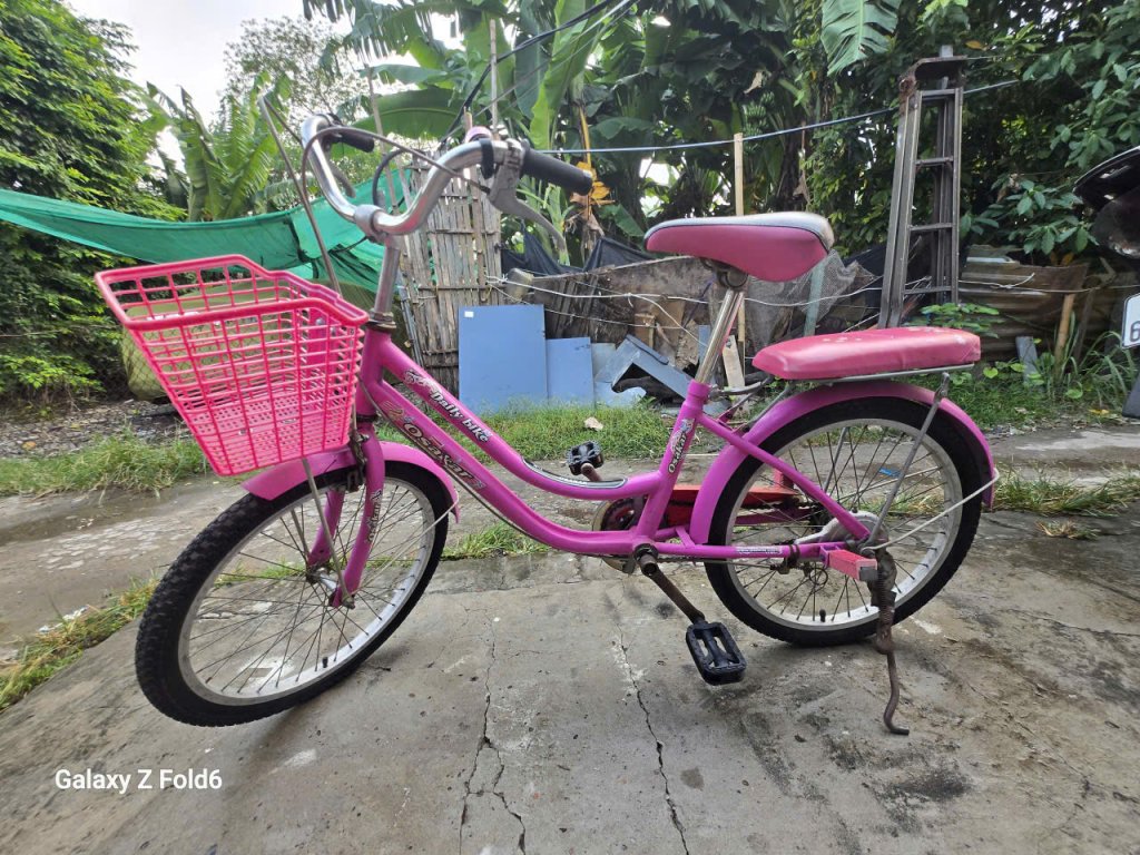 Xe đạp nữ hồng 2.jpg