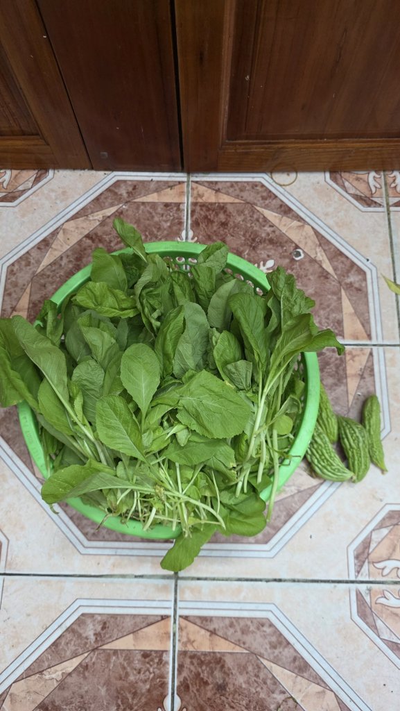 1000075007.jpg