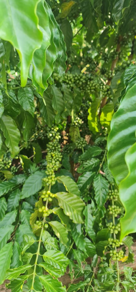 20260926_154456.jpg