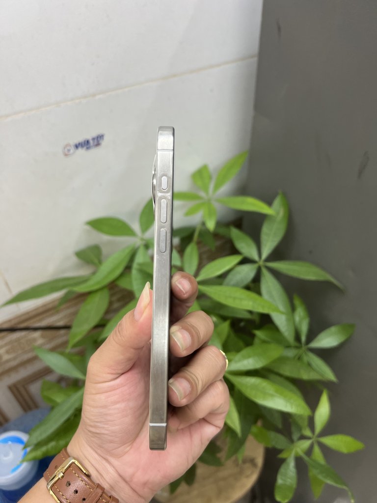 IMG_3160.jpeg