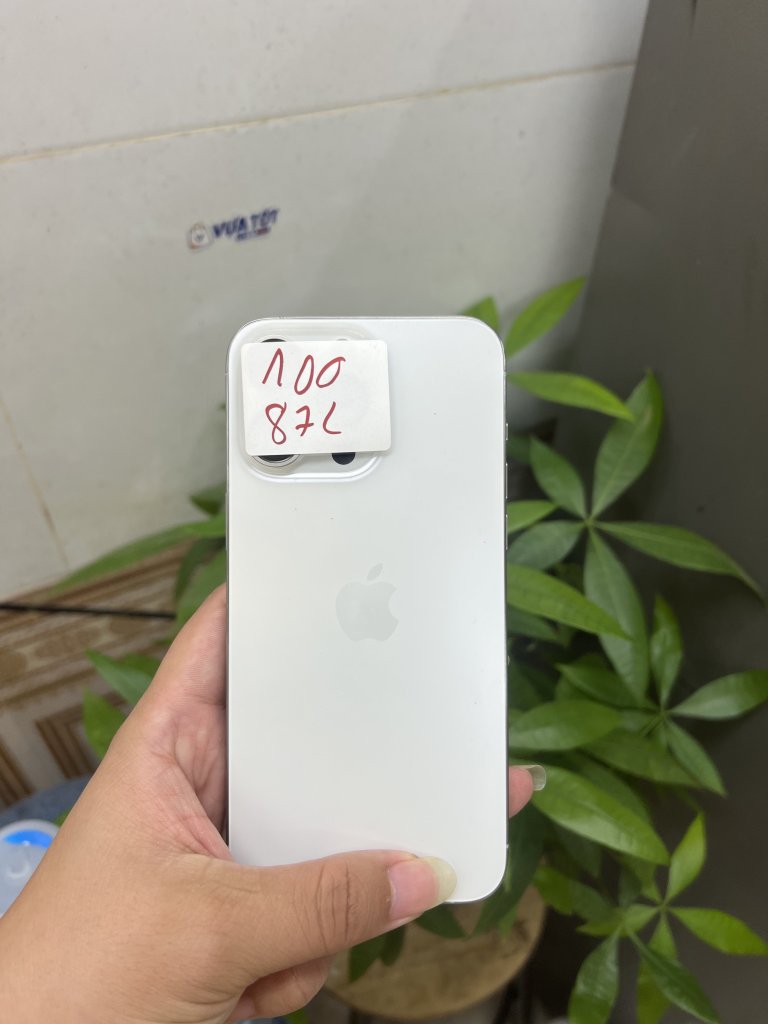 IMG_3159.jpeg
