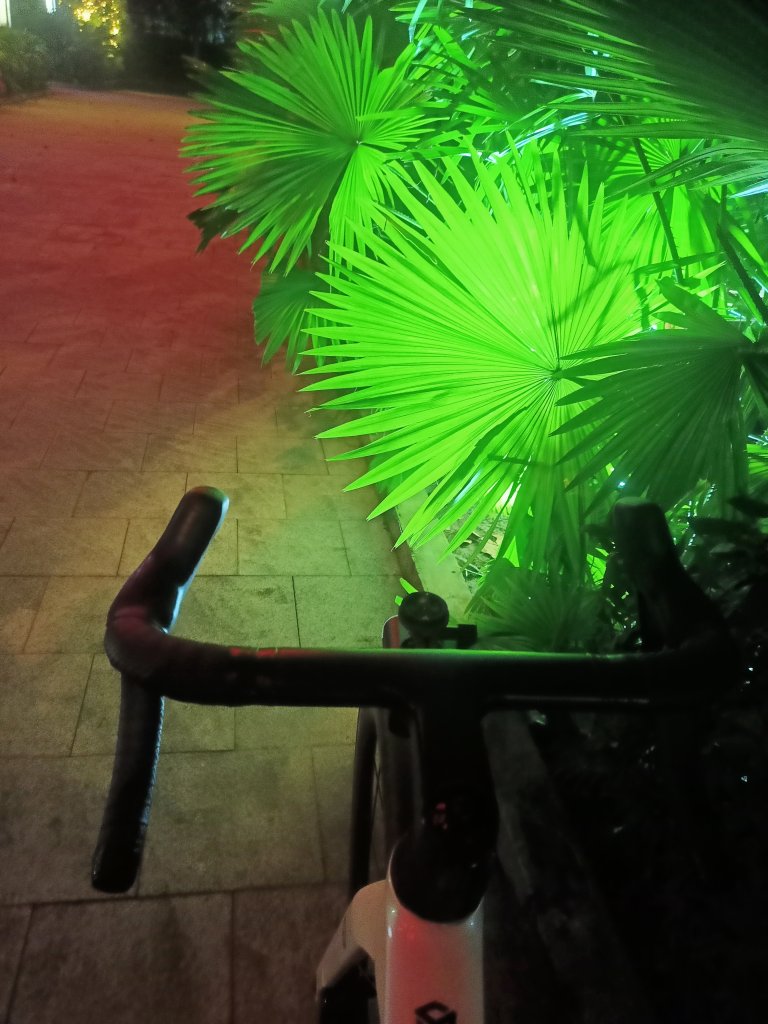 IMG20261013182624.jpg