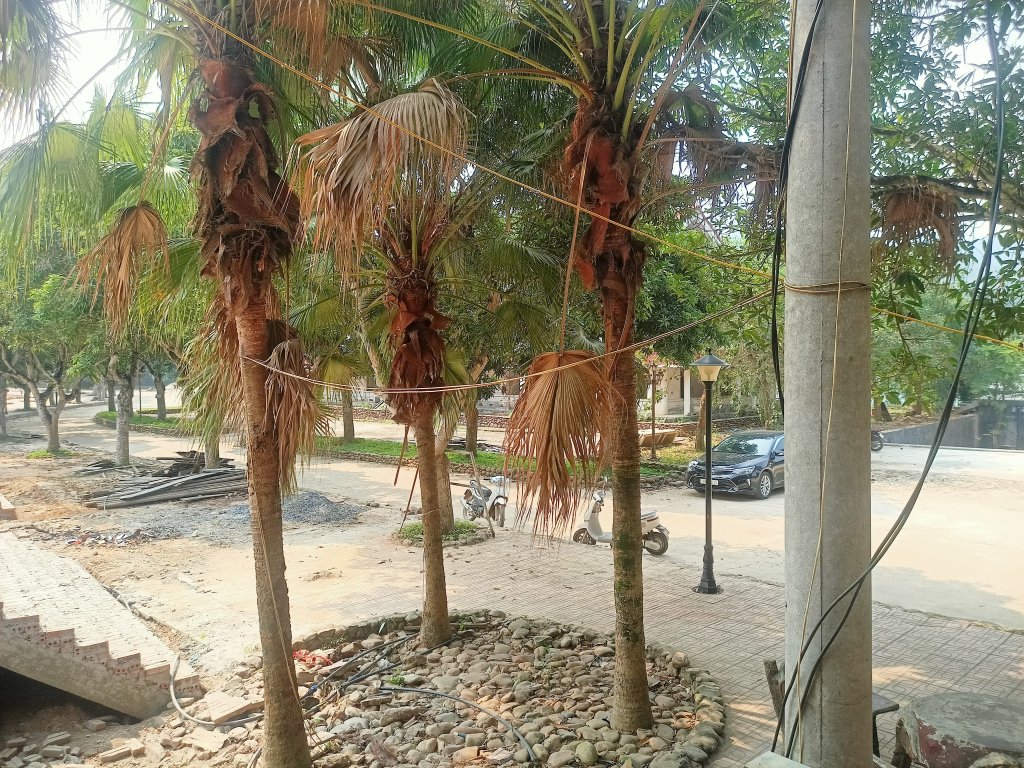 IMG20261014101500.jpg