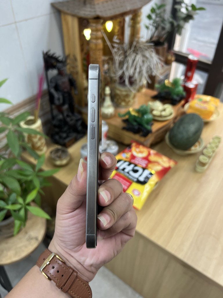 IMG_3300.jpeg