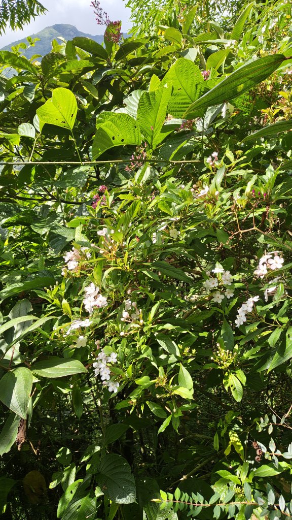 IMG_20261010_094641007_HDR.jpg