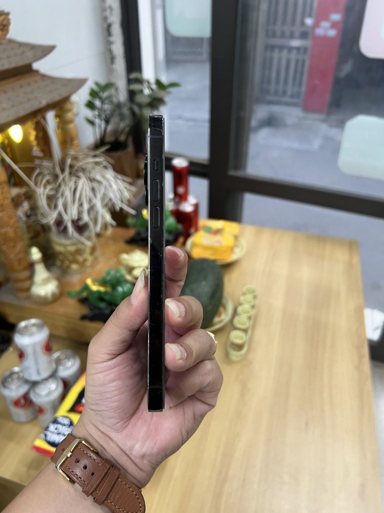 IMG_3310.jpeg