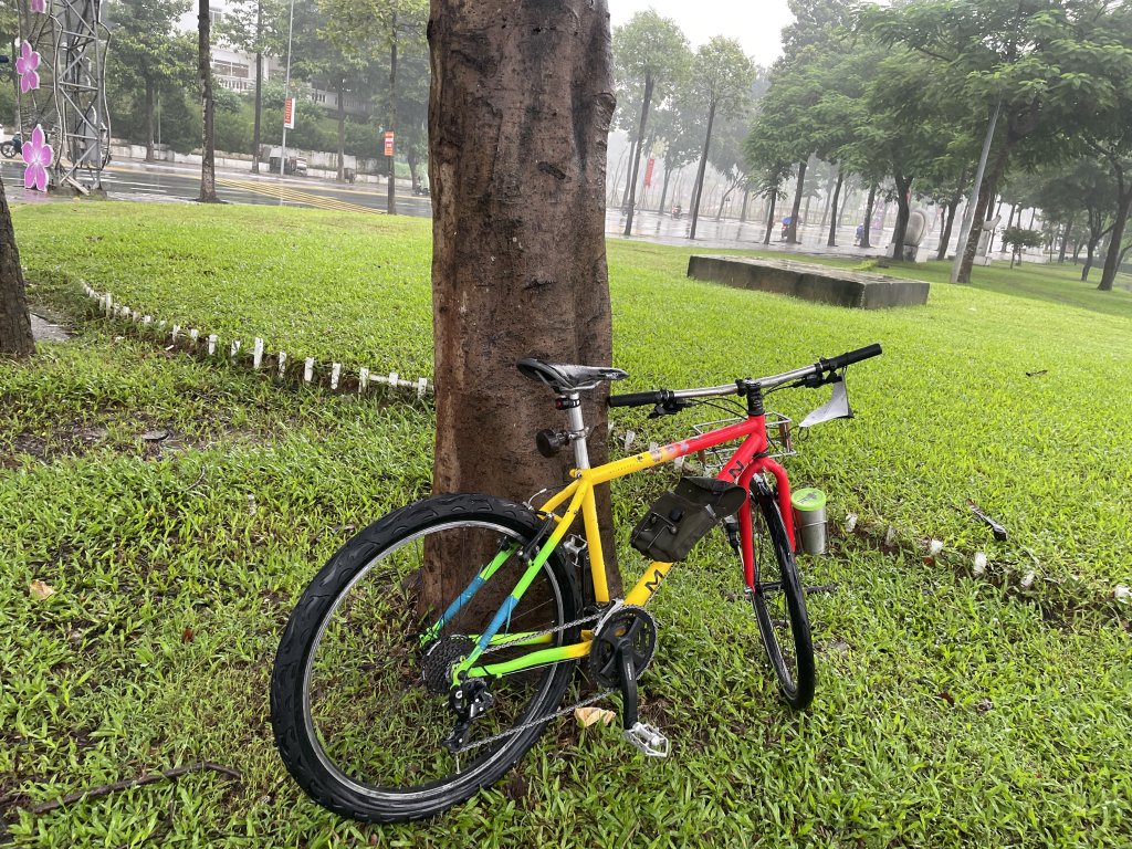 IMG_9383.jpeg