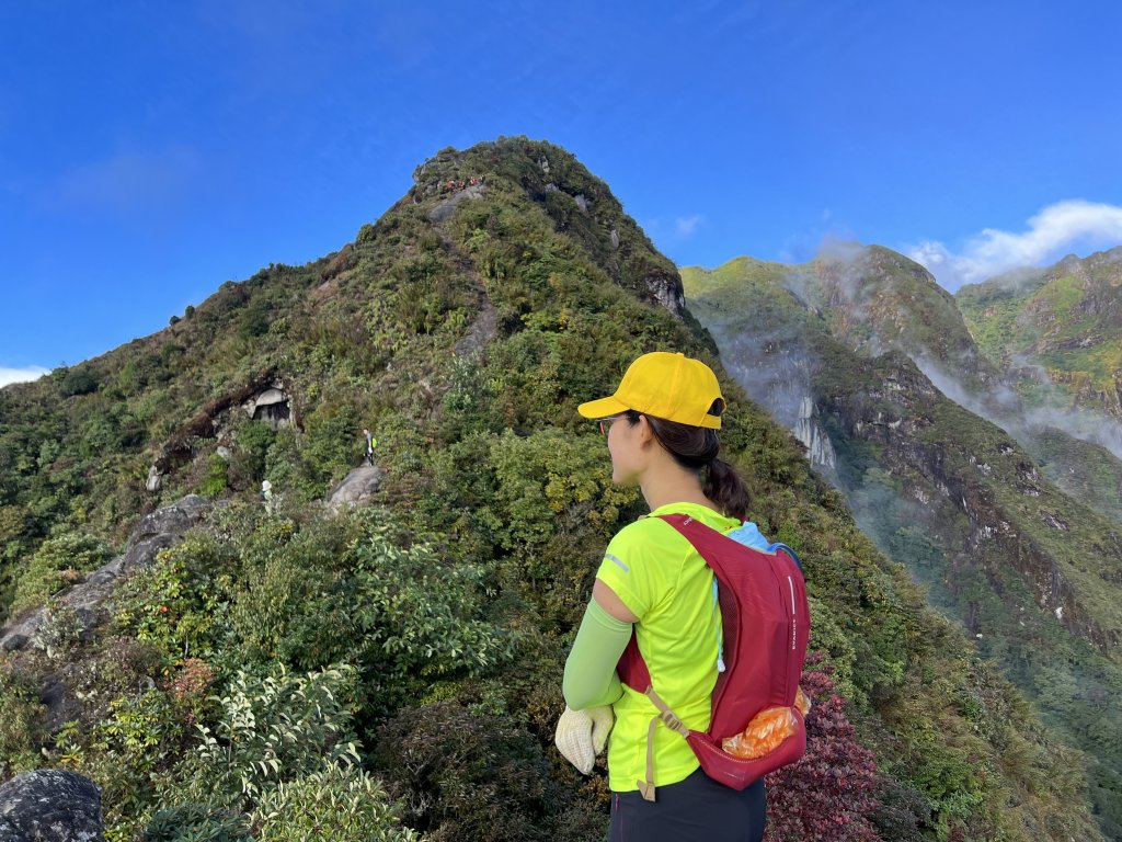 IMG_7128.jpeg