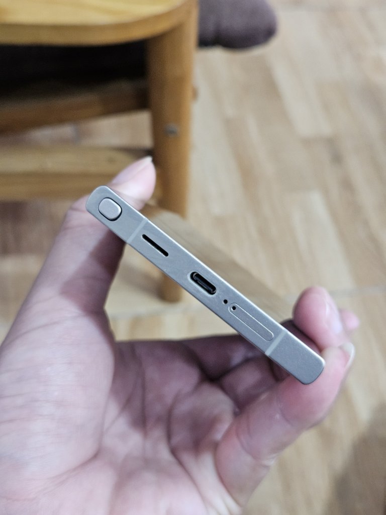 39304.jpg