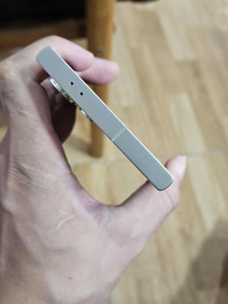 39305.jpg