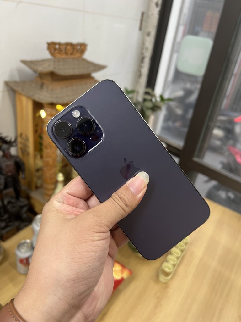 IMG_3379.jpeg
