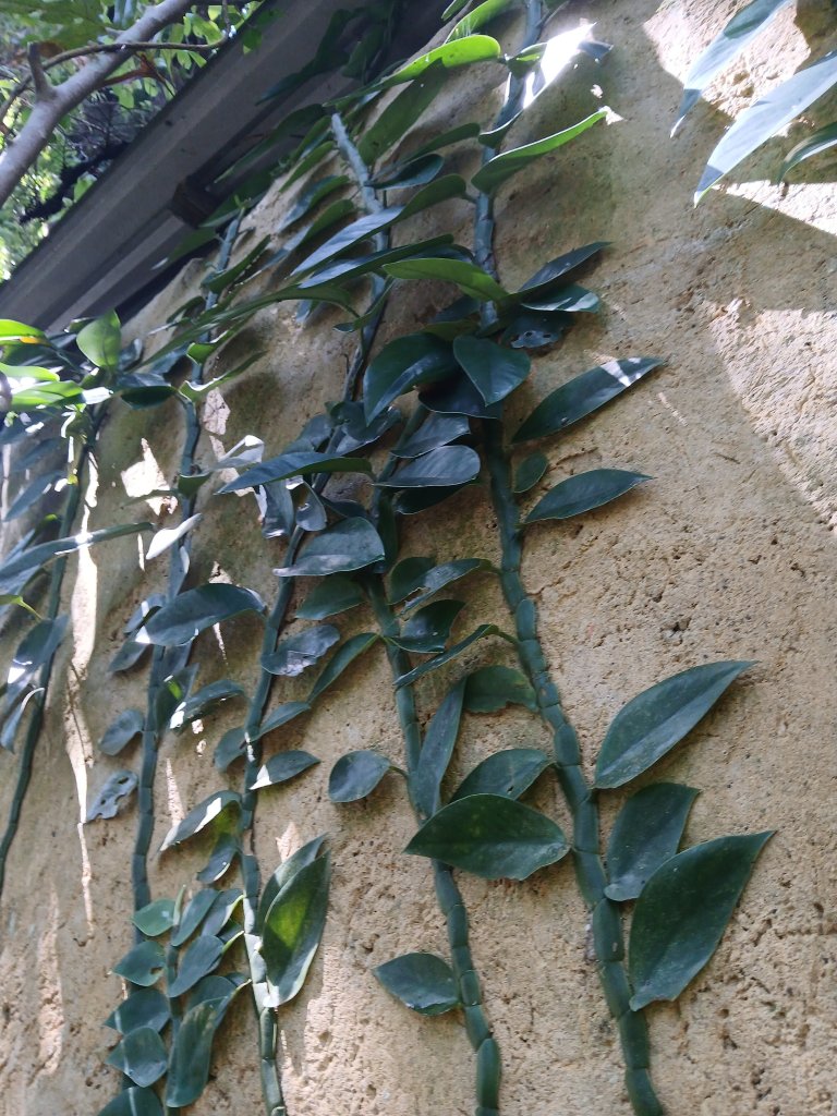 1000012718.jpg