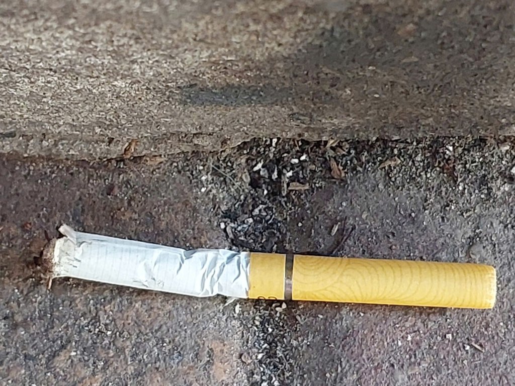 2aOboR64Uba00OQumPLdMaqGbndv6VRPIJPM8GjQ.jpg