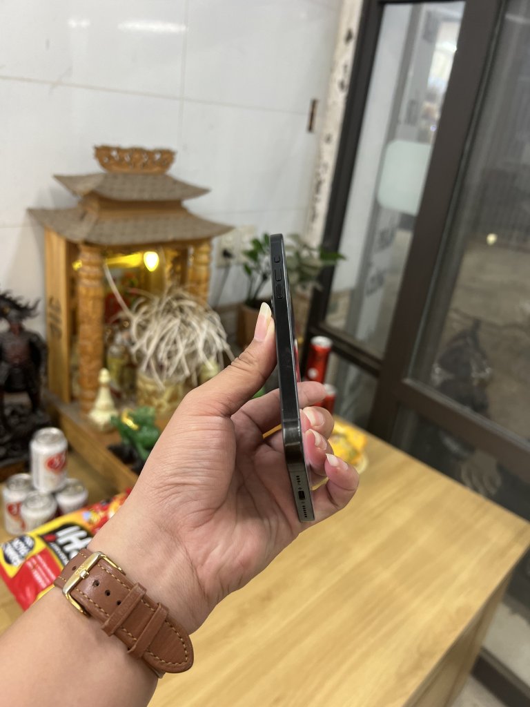 IMG_3511.jpeg