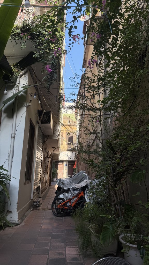 IMG_0075.jpeg